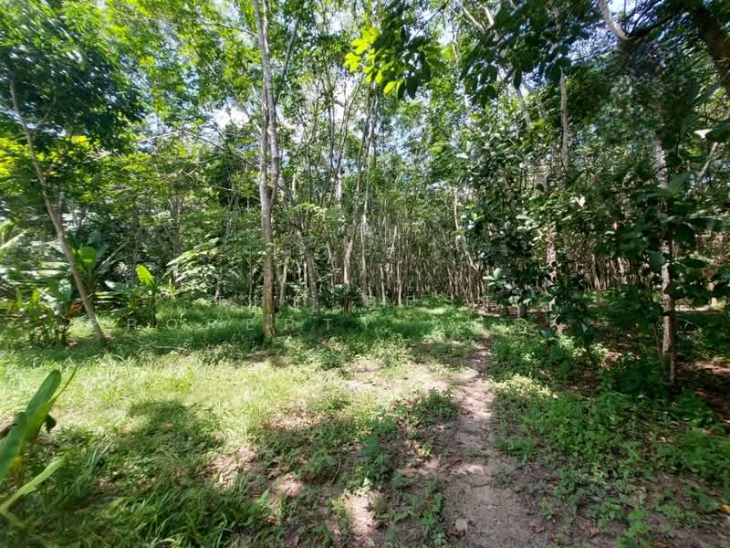 For Sale - บ้านเดี่ยวพร้อมสวนทุ่งสง นครศรีธรรมราช, Nakhon Si Thammarat