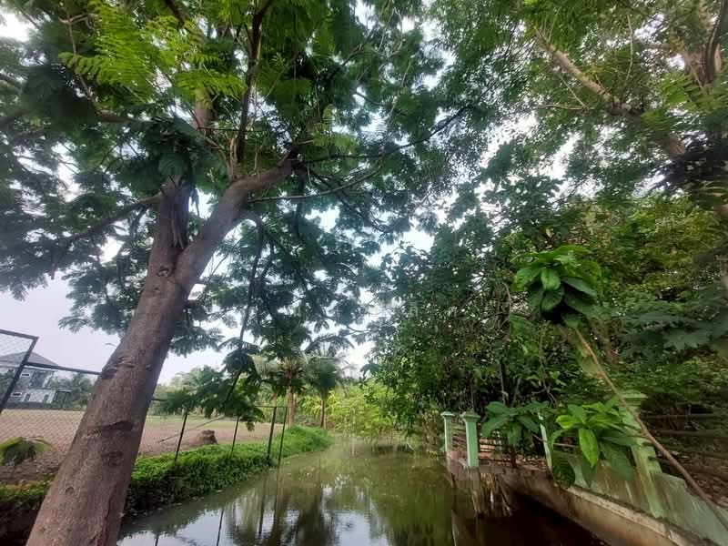 Baan Mai Ing Than : บ้านไม้อิงธาร, นนทบุรี, ถนน ศาลายา-นครชัยศรี, ศาลากลาง, บางกรวย, นนทบุรี, 150 ตร.ม., บ้านเดี่ยว ขาย, โดย คุณแบล็ค, 500211668 - DDproperty.com