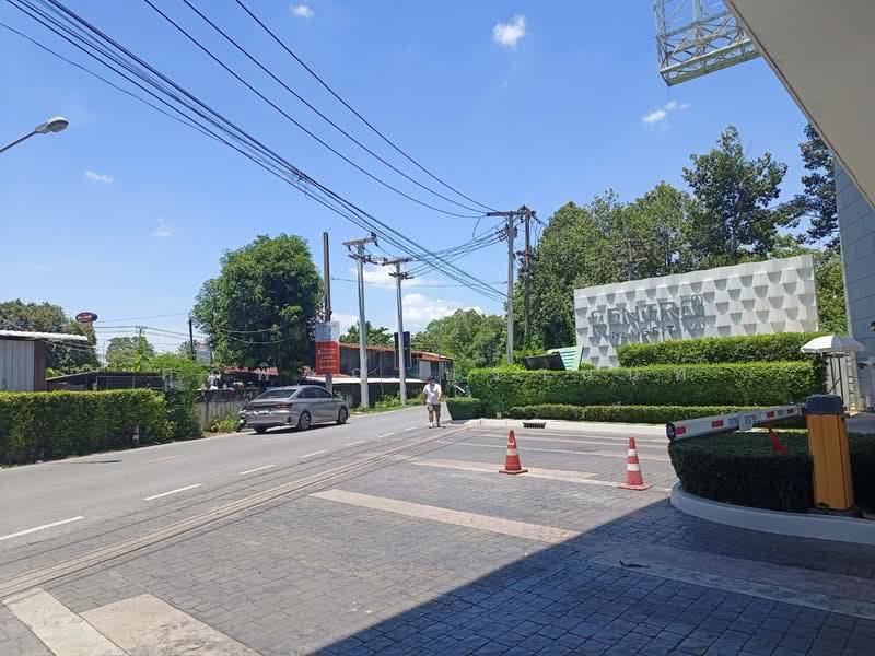 Centro Rangsit : เซนโทร รังสิต, ปทุมธานี, ถนนรังสิต - นครนายก, บึงยี่โถ, ธัญบุรี, ปทุมธานี, 160 ตร.ม., บ้านเดี่ยว ขาย, โดย ศุภพิชญ์ บุรานนท์, 500211678 - DDproperty.com