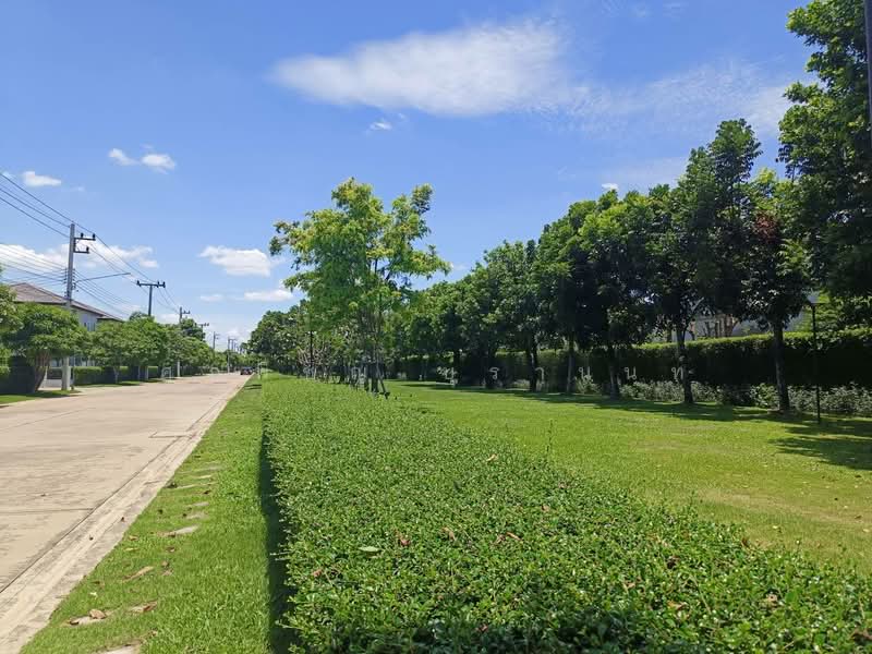 Centro Rangsit : เซนโทร รังสิต, ปทุมธานี, ถนนรังสิต - นครนายก, บึงยี่โถ, ธัญบุรี, ปทุมธานี, 160 ตร.ม., บ้านเดี่ยว ขาย, โดย ศุภพิชญ์ บุรานนท์, 500211678 - DDproperty.com