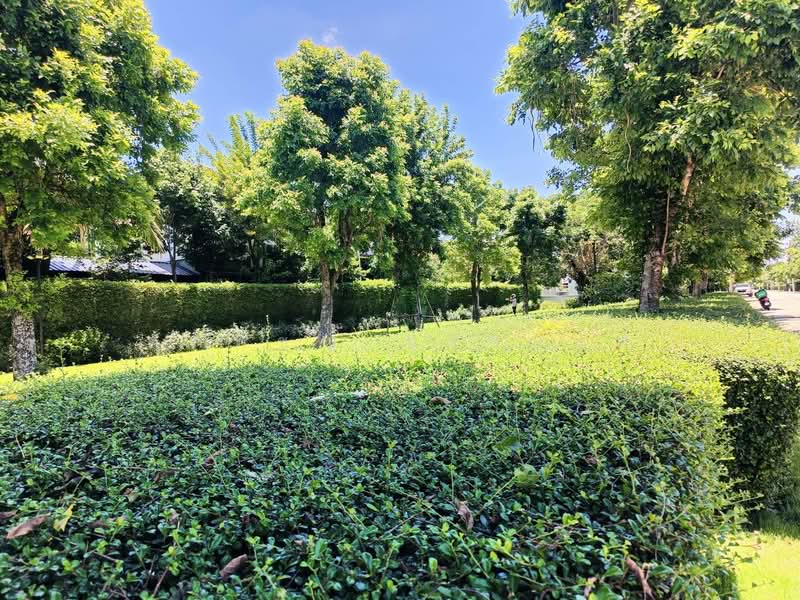 Centro Rangsit, Pathum Thani, Rangsit - Nakhon Nayok Road, Bang Yitho, Thanyaburi, Pathum Thani, 4 Bedrooms, 160 sqm, Single Detached House For Sale, by ศุภพิชญ์ บุรานนท์, 500211678 - DDproperty.com