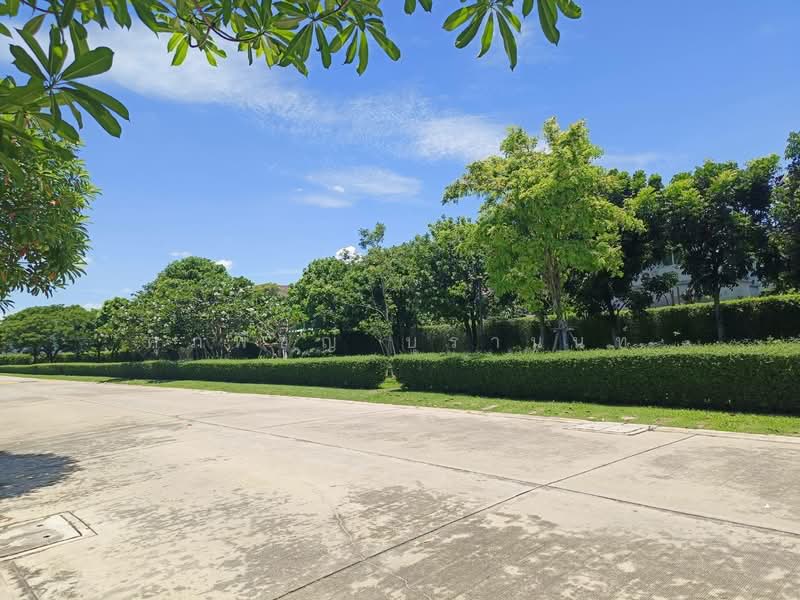 Centro Rangsit, Pathum Thani, Rangsit - Nakhon Nayok Road, Bang Yitho, Thanyaburi, Pathum Thani, 4 Bedrooms, 160 sqm, Single Detached House For Sale, by ศุภพิชญ์ บุรานนท์, 500211678 - DDproperty.com