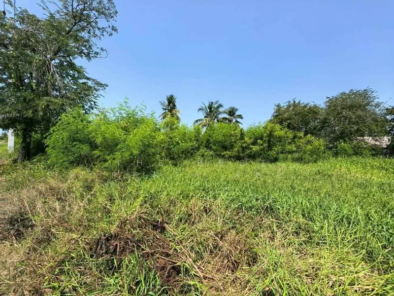 ที่ดินชัยมงคล สมุทรสาคร, Samut Sakhon, Chaimokkhon, Muang Samut Sakhon, Samut Sakhon, , 1,200 sqm, Land For Sale, by The Best Property Agent ต้น, 500211704 - DDproperty.com