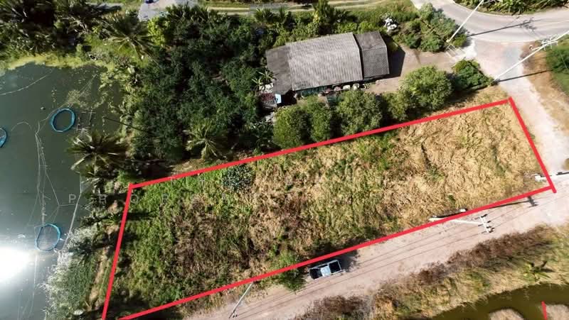 ที่ดินชัยมงคล สมุทรสาคร, Samut Sakhon, Chaimokkhon, Muang Samut Sakhon, Samut Sakhon, , 1,200 sqm, Land For Sale, by The Best Property Agent ต้น, 500211704 - DDproperty.com