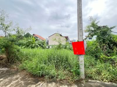 ขาย - ที่ดินปากเกร็ด นนทบุรี, นนทบุรี