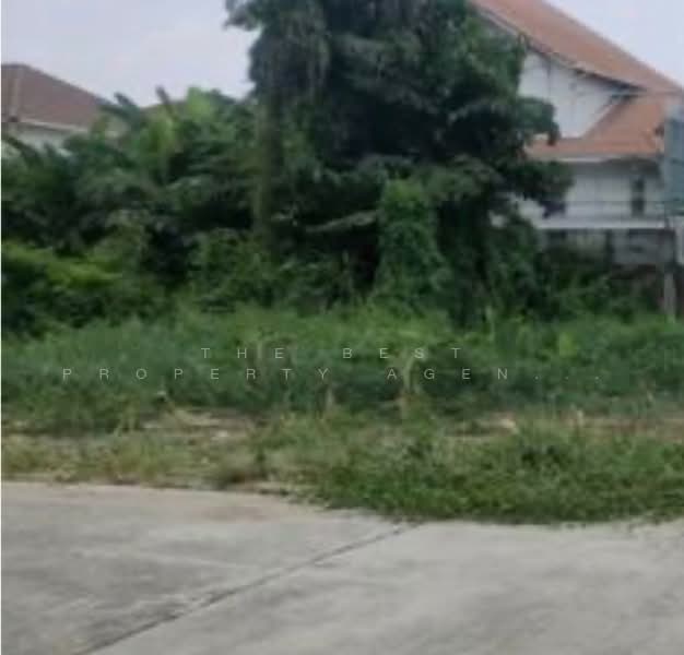 ขาย - ที่ดินปากเกร็ด นนทบุรี, นนทบุรี