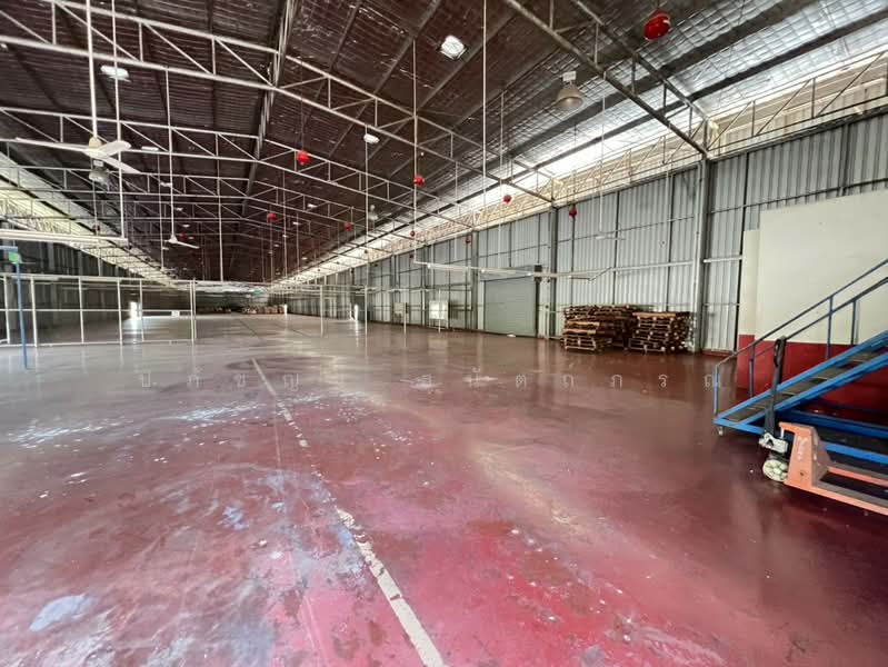 ขาย โรงงาน 12 ไร่ พร้อมรง.4 ฉะเชิงเทรา, ฉะเชิงเทรา, คลองประเวศ, บ้านโพธิ์, ฉะเชิงเทรา, 24,800 ตร.ม., โกดัง-โรงงาน ขาย, โดย ปภัชญา ธนัตถ์ภรณ์, 500211721 - DDproperty.com