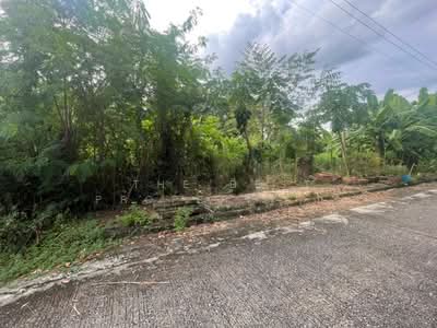 ขาย - เลคการ์เด้นวิลล่า, ปทุมธานี