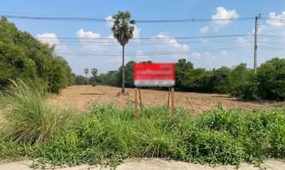 ขาย - ที่ดินมัญจาคีรี ขอนแก่น, ขอนแก่น