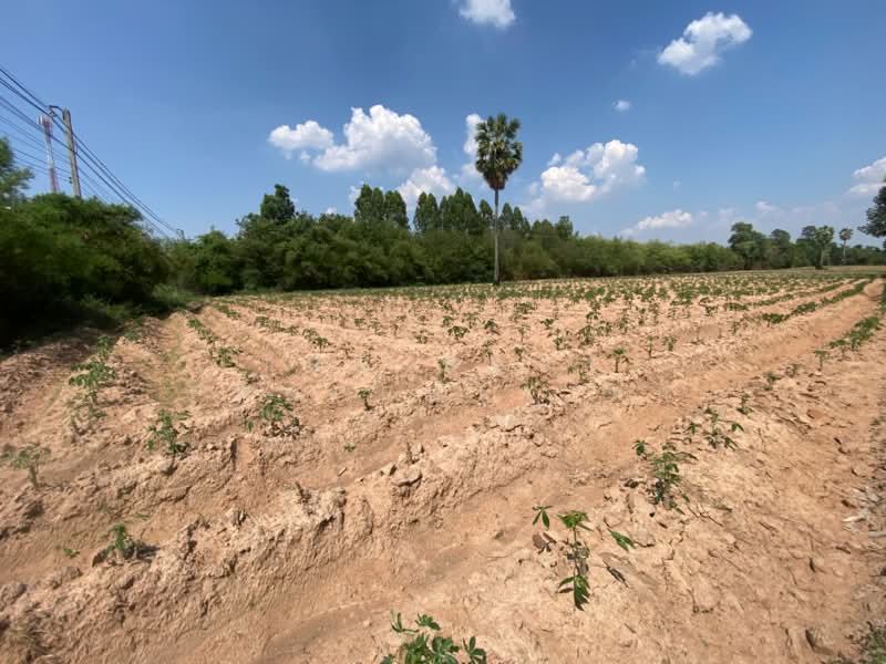 ที่ดินมัญจาคีรี ขอนแก่น, Khon Kaen, Suan Mon, Mancha Khiri, Khon Kaen, , 6,892 sqm, Land For Sale, by The Best Property นก, 500211730 - DDproperty.com