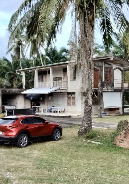 For Sale - บ้านเดี่ยวพร้อมที่ดินท่าศาลา นครศรีธรรมราช, Nakhon Si Thammarat