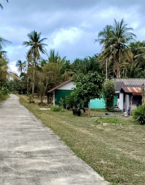 For Sale - บ้านเดี่ยวพร้อมที่ดินท่าศาลา นครศรีธรรมราช, Nakhon Si Thammarat