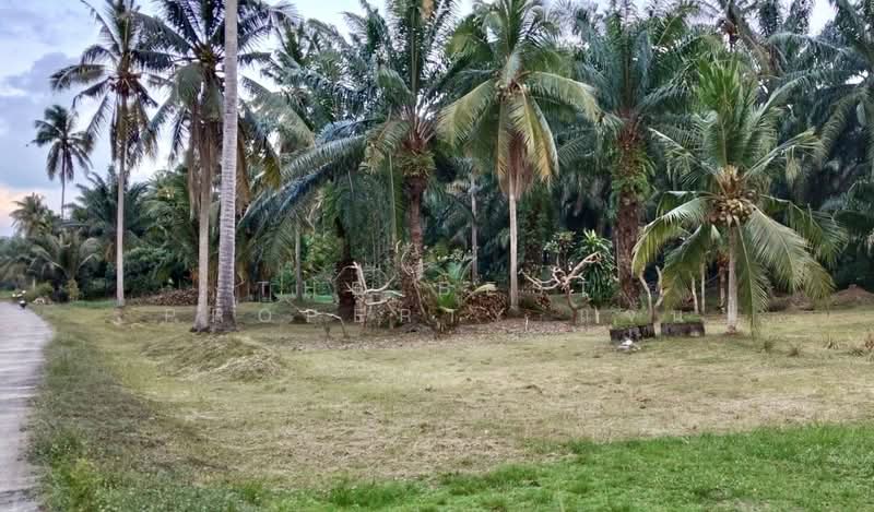 For Sale - บ้านเดี่ยวพร้อมที่ดินท่าศาลา นครศรีธรรมราช, Nakhon Si Thammarat