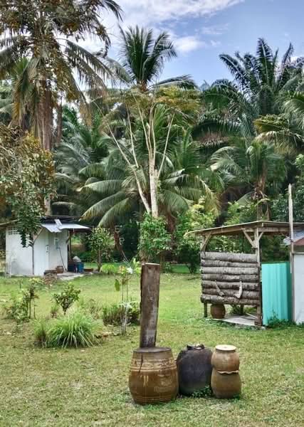 For Sale - บ้านเดี่ยวพร้อมที่ดินท่าศาลา นครศรีธรรมราช, Nakhon Si Thammarat