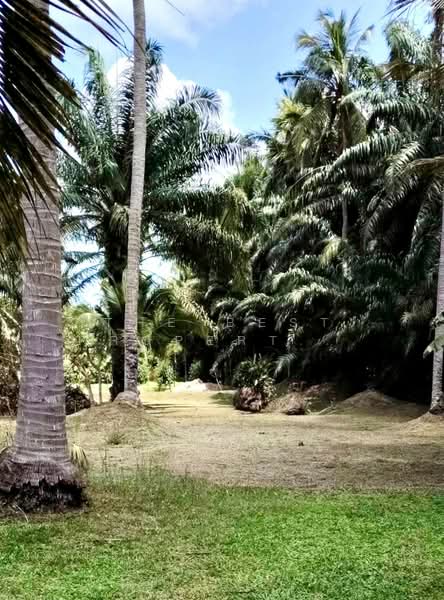 For Sale - บ้านเดี่ยวพร้อมที่ดินท่าศาลา นครศรีธรรมราช, Nakhon Si Thammarat