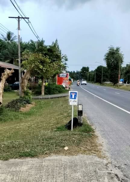 For Sale - บ้านเดี่ยวพร้อมที่ดินท่าศาลา นครศรีธรรมราช, Nakhon Si Thammarat