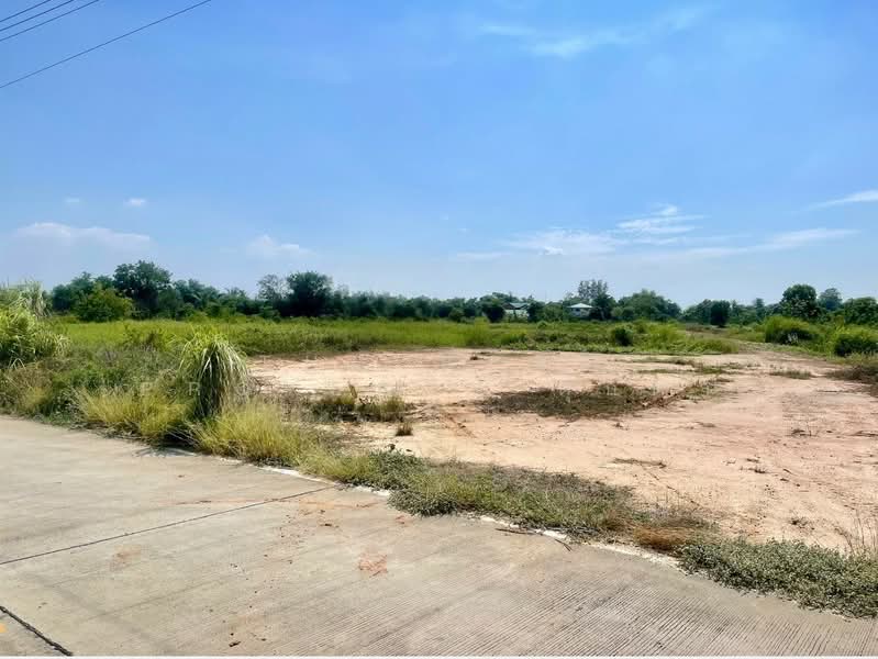 For Sale - ที่ดินพนัสนิคม ชลบุรี, Chon Buri (Pattaya)