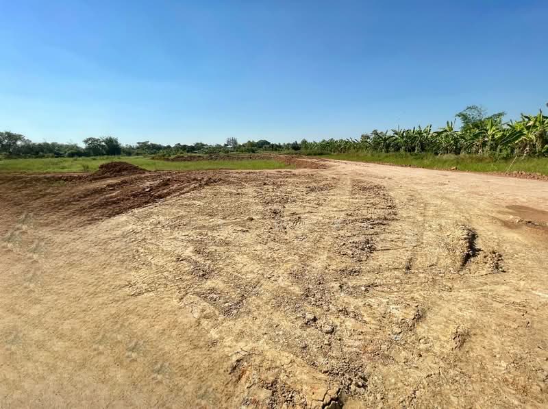 For Sale - ที่ดินพนัสนิคม ชลบุรี, Chon Buri (Pattaya)