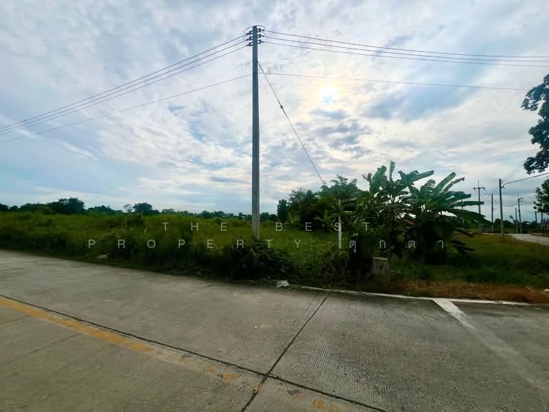 For Sale - ที่ดินพนัสนิคม ชลบุรี, Chon Buri (Pattaya)