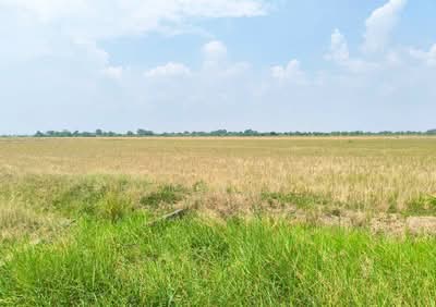 ขาย - ที่ดินบางเสาธง สมุทรปราการ, สมุทรปราการ