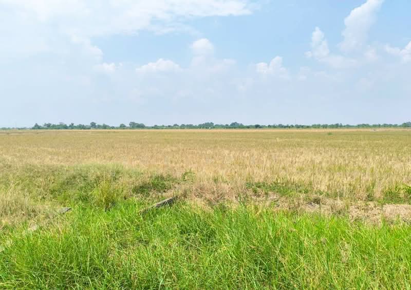 ขาย - ที่ดินบางเสาธง สมุทรปราการ, สมุทรปราการ