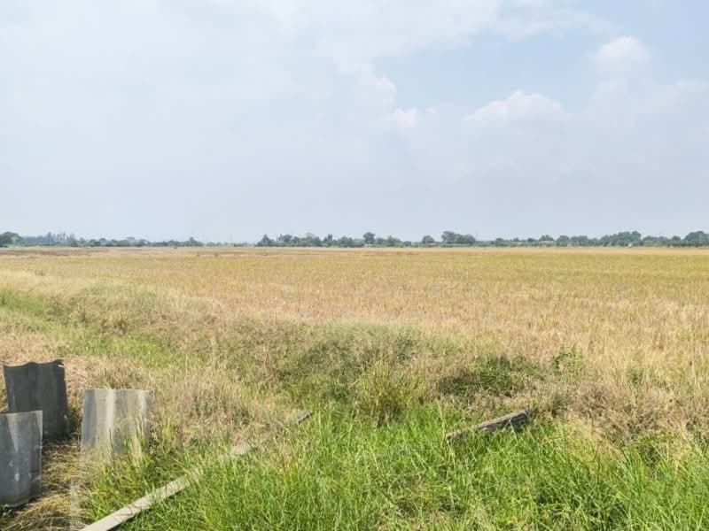 ขาย - ที่ดินบางเสาธง สมุทรปราการ, สมุทรปราการ