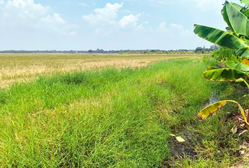 ขาย - ที่ดินบางเสาธง สมุทรปราการ, สมุทรปราการ