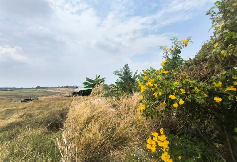 ที่ดินบางเสาธง สมุทรปราการ, Samut Prakan, Bang Sao Thong, Bang Sao Thong, Samut Prakan, , 32,756 sqm, Land For Sale, by The Best Property ปุ๋ม, 500211797 - DDproperty.com