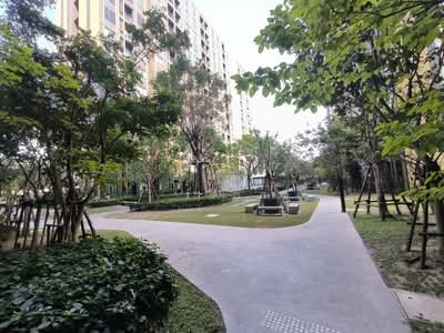 ขาย - Nue Connex Condo Don Mueang : นิว คอนเน็กซ์ คอนโด ดอนเมือง, กรุงเทพ