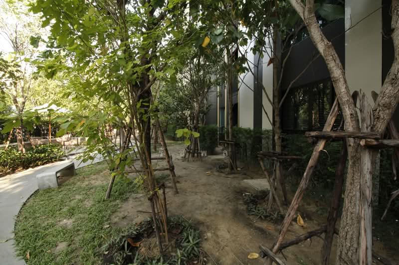 Nue Connex Condo Don Mueang, Bangkok, Vibhavadi Rangsit Road, Sanam Bin, Don Mueang, Bangkok, Studio, 21 sqm, Condo For Sale, by รัชพล, 500211852 - DDproperty.com