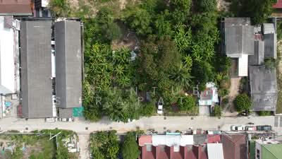 ขาย - ที่ดินจอมเทียนฝั่งทะเล สุขุมวิท 60 ติดอันเดอร์วอเตอร์เวิลด์ และ แมคโครพัทยา, ชลบุรี