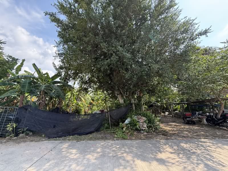 Land for sale Jomtien beachside Sukhumvit 60 next to Underwater World and Makro Pattaya, Chon Buri (Pattaya), สุขุมวิท 60, Nong Pru, Bang Lamung (Pattaya), Chon Buri (Pattaya), , 760 sqm, Land For Sale, by Nuntub surapatcharakul, 500211921 - DDproperty.com