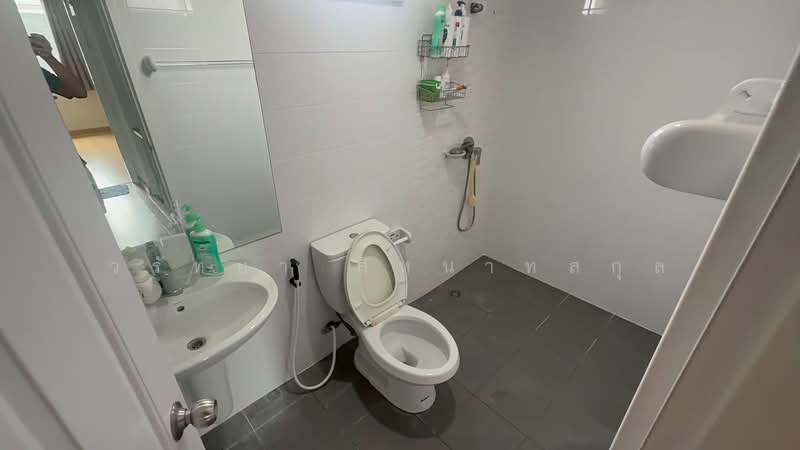 For Sale - Areeya The Colors Wongwaen-Ratchaphruek, Nonthaburi