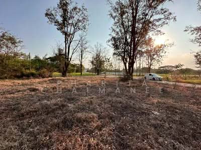 ขาย - ไม่พบโครงการ, เชียงใหม่