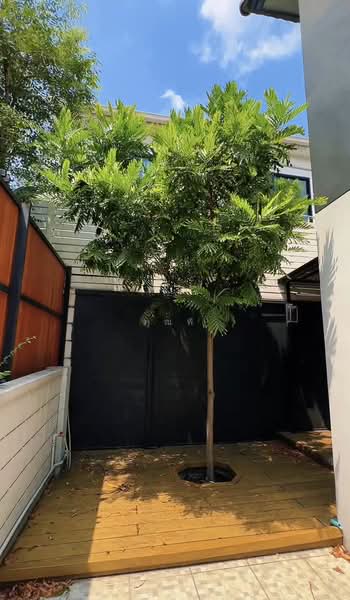 The City Nawamin 53, Bangkok, Soi Nawamin 53, Nawamin, Bueng Kum, Bangkok, 4 Bedrooms, 185 sqm, Single Detached House For Sale, by คุณพี, 500212158 - DDproperty.com