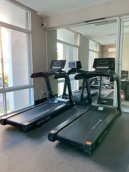 One Plus Jed Yod 1 & 2 : วัน พลัส เจ็ดยอด 1 & 2, เชียงใหม่, ช้างเผือก, เมืองเชียงใหม่, เชียงใหม่, 46 ตร.ม., คอนโด ให้เช่า, โดย Rutchaporn Tunsiri, 500212159 - DDproperty.com