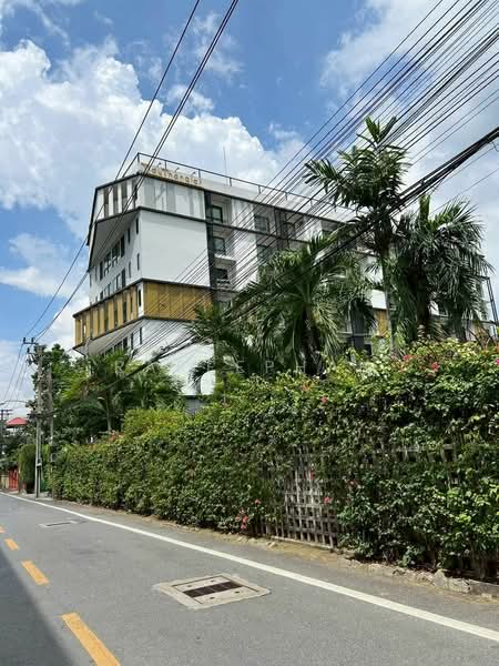 Tidy Thonglor, Bangkok, 105 Sukhumvit 55 Road, Khlong Tan Nua, Watthana, Bangkok, 1 Bedroom, 30 sqm, Condo For Rent, by Rapeephan, 500212206 - DDproperty.com