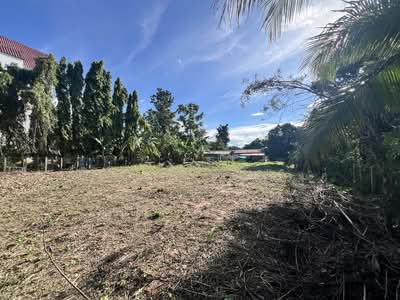 ขาย - โนนม่วง, ขอนแก่น