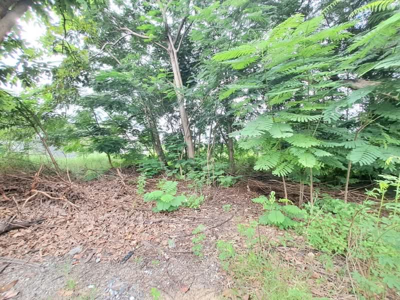 For Sale - หมู่บ้านเดอะรอยัลกอล์ฟ ลาดกระบัง (The Royal Golf), Samut Prakan