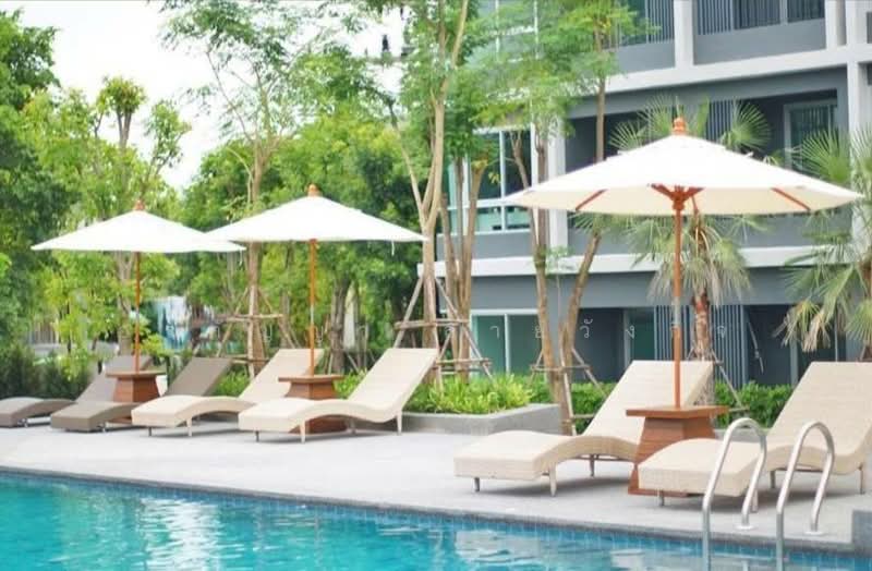 diamant condominium, เชียงใหม่, . ถ.ซุปเปอร์ไฮเวย์ลำปาง-เชียงใหม่, ฟ้าฮ่าม, เมืองเชียงใหม่, เชียงใหม่, 44 ตร.ม., คอนโด ขาย, โดย อรกัญญา สายวังกิจ, 500212537 - DDproperty.com