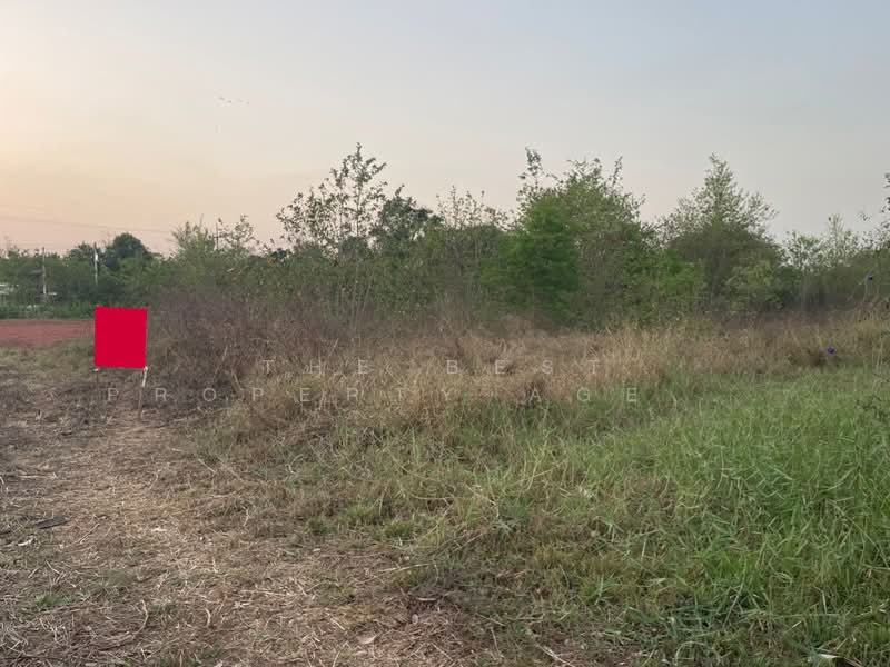 For Sale - ที่ดินตลาด นครราชสีมา, Nakhon Ratchasima