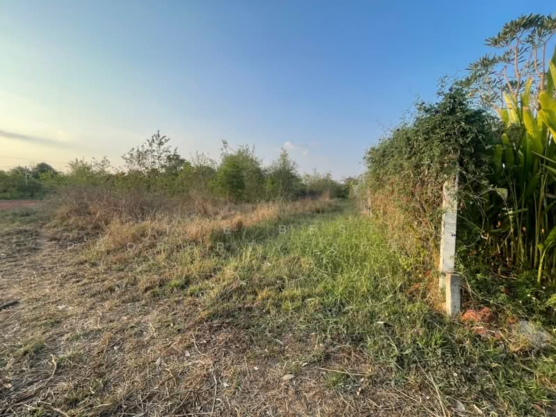 For Sale - ที่ดินตลาด นครราชสีมา, Nakhon Ratchasima