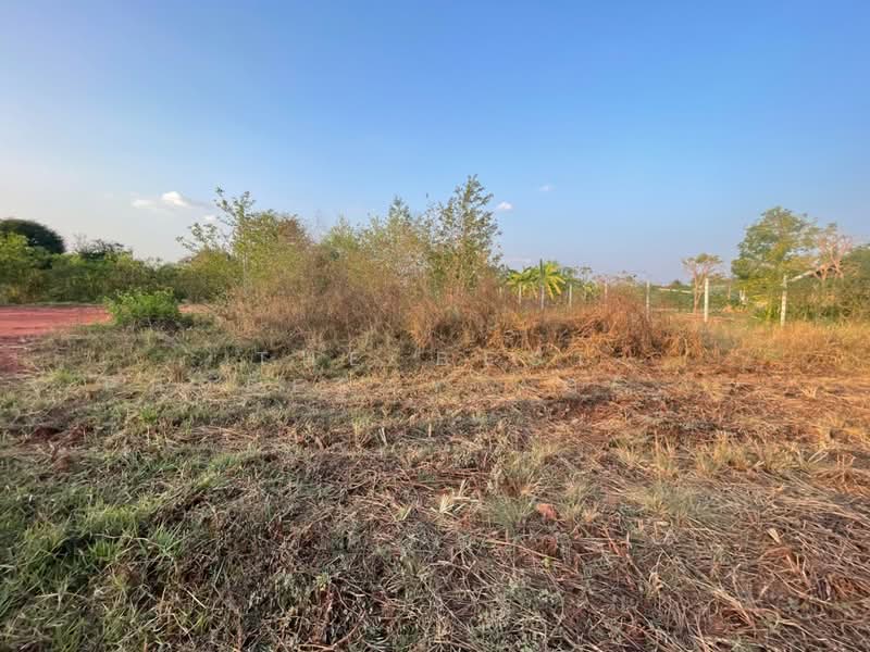 For Sale - ที่ดินตลาด นครราชสีมา, Nakhon Ratchasima