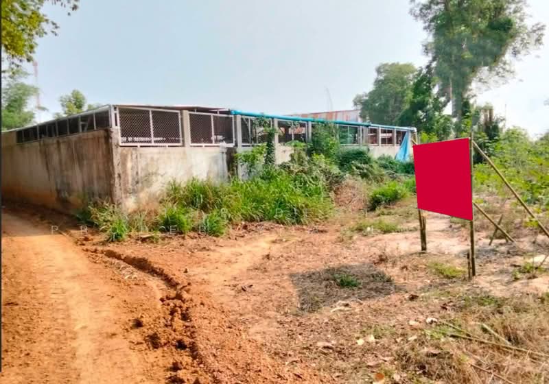 For Sale - ที่ดินน้ำพอง ขอนแก่น, Khon Kaen