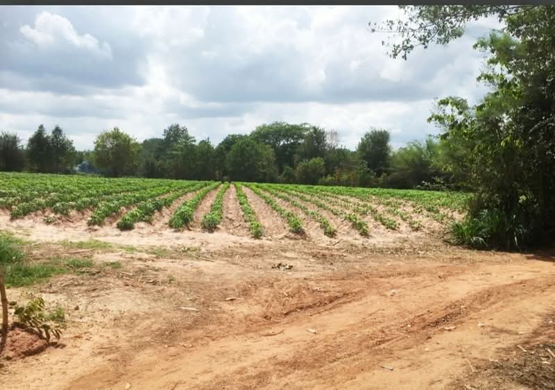 For Sale - ที่ดินน้ำพอง ขอนแก่น, Khon Kaen