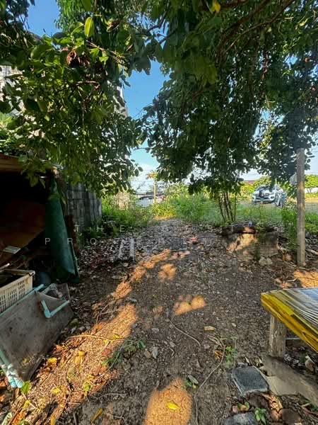 ที่ดินแปลงยาว ฉะเชิงเทรา, ฉะเชิงเทรา, หัวสำโรง, แปลงยาว, ฉะเชิงเทรา, 2,460 ตร.ม., ที่ดิน ขาย, โดย The Best Property หนิง, 500212585 - DDproperty.com