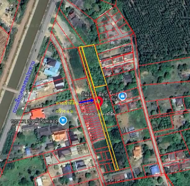 ที่ดินแปลงยาว ฉะเชิงเทรา, ฉะเชิงเทรา, หัวสำโรง, แปลงยาว, ฉะเชิงเทรา, 2,460 ตร.ม., ที่ดิน ขาย, โดย The Best Property หนิง, 500212585 - DDproperty.com