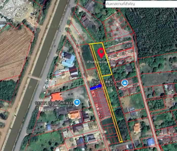 ที่ดินแปลงยาว ฉะเชิงเทรา, ฉะเชิงเทรา, หัวสำโรง, แปลงยาว, ฉะเชิงเทรา, 2,460 ตร.ม., ที่ดิน ขาย, โดย The Best Property หนิง, 500212585 - DDproperty.com