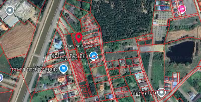 ที่ดินแปลงยาว ฉะเชิงเทรา, ฉะเชิงเทรา, หัวสำโรง, แปลงยาว, ฉะเชิงเทรา, 2,460 ตร.ม., ที่ดิน ขาย, โดย The Best Property หนิง, 500212585 - DDproperty.com