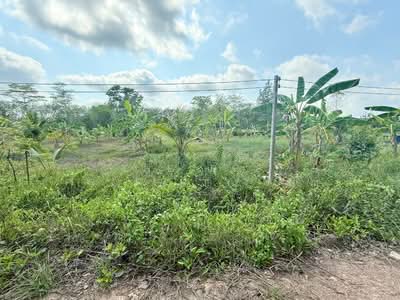 ขาย - โครงการ : ที่ดินนายายอาม จันทบุรี, จันทบุรี